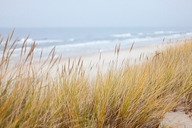 Du siehst hier eine mit Gräsern bewachsene Düne am Strand, das Bild strahlt Ruhe und sinnliche Erfahrung aus als Symbol für die erlebnisorientierte Methode des Focusing.