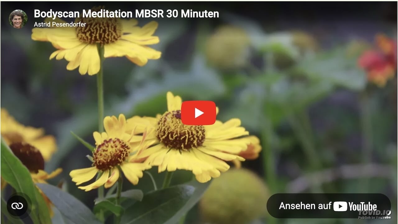 Hier klicken, um das MBSR Body Scan Video (30 Min.) mit Astrid Pesendorfer auf YouTube zu starten.